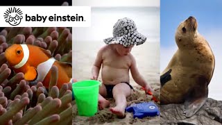 Neptune's Oceans | Baby Einstein Classics | Learning Show for Toddlers | Kids Cartoons