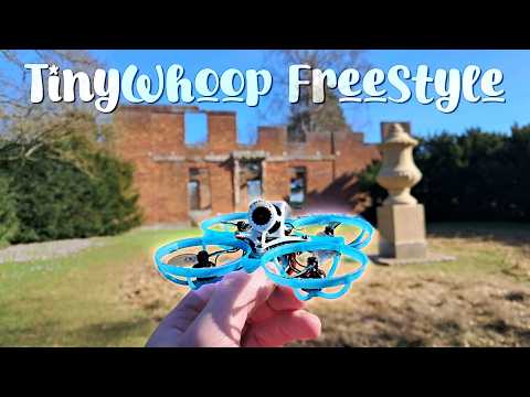 Proximity Trippy Switches - TinyWhoop Freestyle