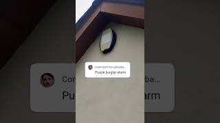 Purple Burgular Alarm #viewercomments