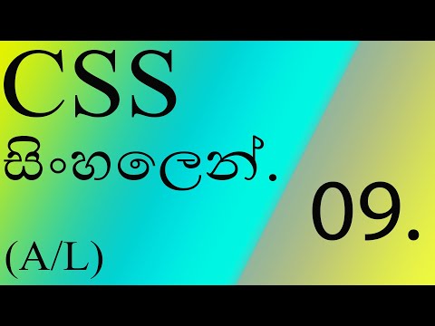 CSS Sinhala 09 (CSS Table Properties)|Sinhala |Sri Lanka | 2021 (Clear explanation)