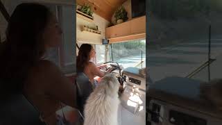 Home on wheels for the win! #vanlife #camper #homeonwheels