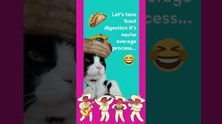 B ME Bites: Friday Fun & The Surprising Link Between Your Gut & Brain