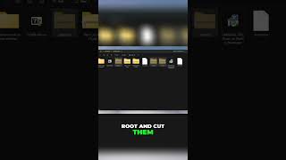 Android Flash Guide: Easy Steps to Root Your Device! #shorts