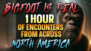 BIGFOOT IS REAL: 1 HOUR OF BIGFOOT ENCOUNTERS FROM ACROSS NORTH AMERICA