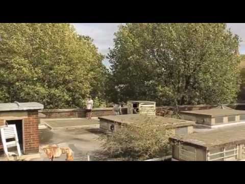 Summer 2014 | Parkour & Freerunning