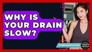 Why Is Your Drain Slow? - Explaining Household Mysteries