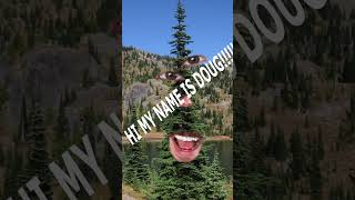 Making Oregon out of Douglas-Fir | Official State Tree Map #shorts #trees #wood