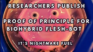 Researchers Publish Proof of Principle for Nightmare Flesh-Robot