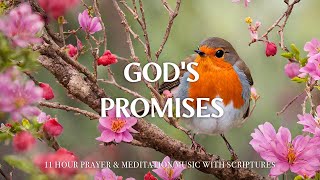 GOD'S PROMISES | Worship & Instrumental Music With Scriptures | Christian Harmonies