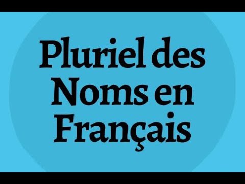 Chapitre 19 - le pluriel des noms