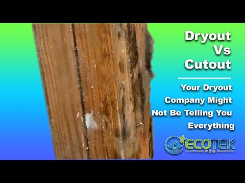 Dryout Vs Cutout. Your Dryout Company Might Not Be Telling You Everything