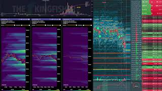 HD Bitcoin Live BookMap + Liquidation HeatMap + KingFisher #bookmap #hyblock #liquidations #bitcoin