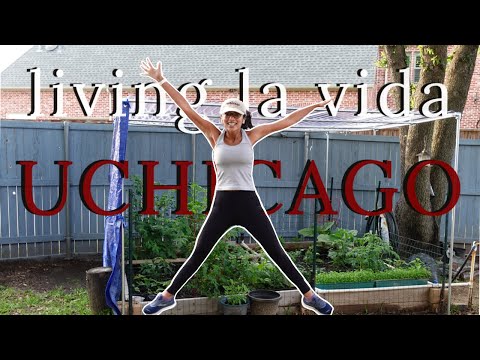 things you HAVE TO DO at UCHICAGO!!!