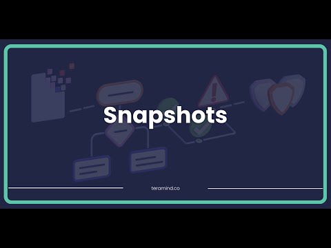 Teramind Employee Page - Snapshots