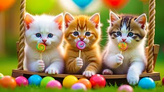 Kalau Kau Suka Hati Tepuk Tangan ❤️ Lagu Anak Indonesia Viral Terbaru