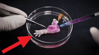 Awesome and funny tech video in another level must watch {18}