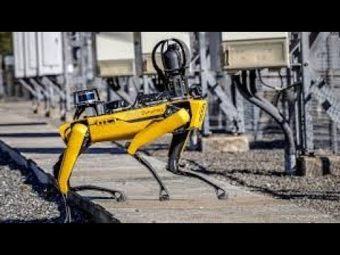 🚀✅Reinforcement Learning with Boston Dynamics🚀 🌍 | The Future of AI