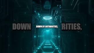 The Unexplained Disappearance of VirusForum