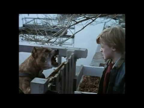 The Top 10 Creepiest Kids in Horror Movies
