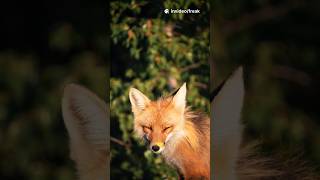 “You won’t believe these AI image tools in 2025 🤯 | #AItools #shorts #NextGenAITools”