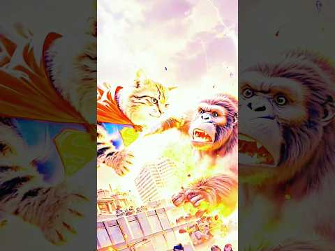 Super Cat vs. Gorilla: The Ultimate Battle Adventure! ⚡️🦍🐈🦍🐱⚡️😜🤪 #shorts #shortsfeed #viralvideo