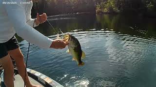 Good Day Fishing a New Lake