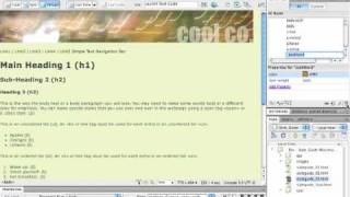 21.Creating.a.CSS.Style.Guide(Using a span tag to add a class and customize appearance).mov