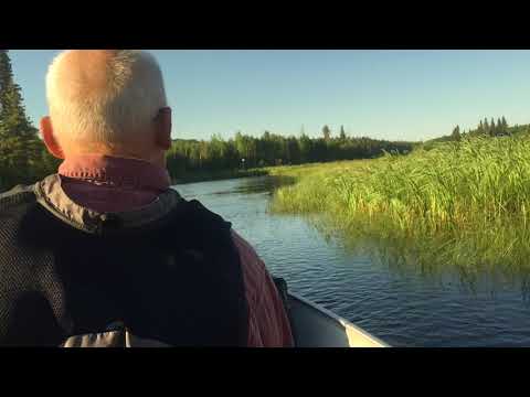 Fishing With Dad 2017