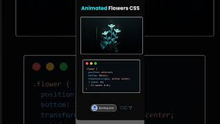 Flower Animation In Css ! HtmlCss Graphic Design! Css javascript tutorial effect animation