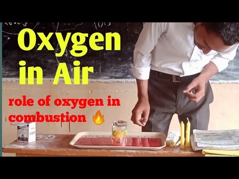 Oxygen in Air | Role of oxygen in combustion Class room activity|| #scienceexperiment || W2Learning