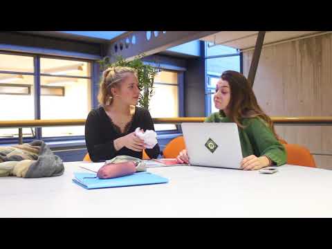 Group 4 Minor trend marketing 1