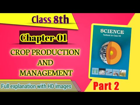 class 8th chapter 1 science | part 2 | with Hafsa Siddique | let's study |