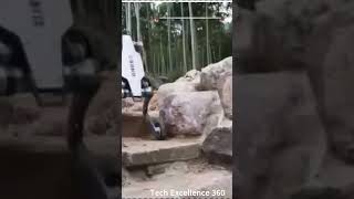 Robo champ #subscribe #technologybytes #shortsfeed #shorts