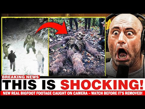 Camera Caught TERRIFYING Bigfoot Encounter Scientists Never Expected —Will SHOCK You!