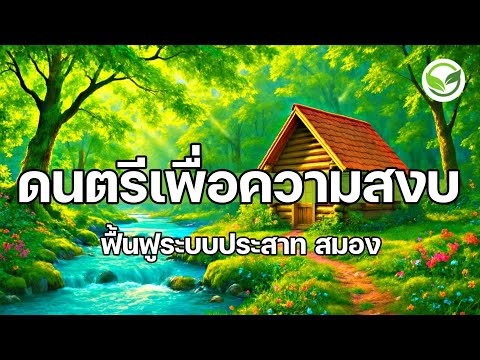 ดนตรีเพื่อความสงบ ช่วยฟื้นฟูระบบประสาทและสมอง ให้ผ่อนคลายจากความเครียด ดนตรีผ่อนคลายสมอง relaxing
