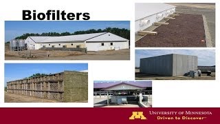 Biofilters to Manage Odors and Air Emissions from Animal Feeding Operations