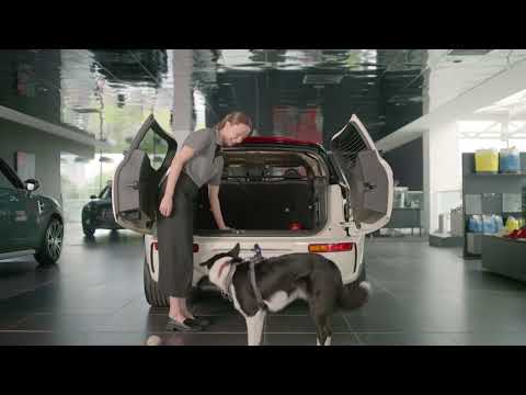 MINI Who Let The Dogs In | Filmed at Cotswold