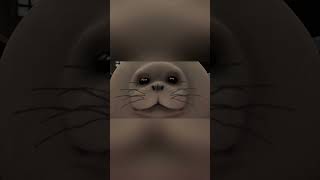 SFM: Floating Seal #animation  #sfm  #memes