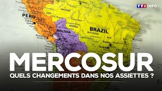 Mercosur : quels changements dans nos assiettes ?｜TF1 INFO