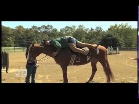 THE HORSE BIT MY NIPPLE OFF