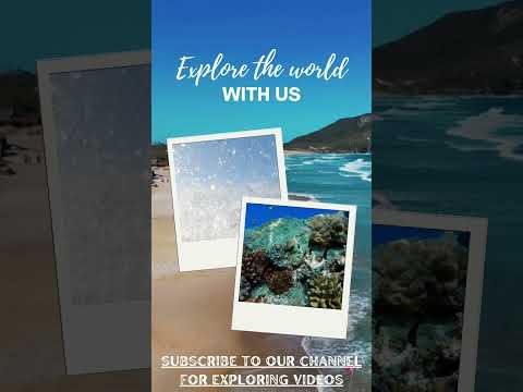 Miraculous Relaxation