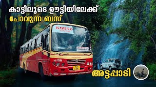 Attappadi | കാട്ടിലൂടെ ഊട്ടിയിലേക്ക് | Ksrtc Mettupalayam Trip | Mannarkkad to Ooty Bus | free20