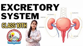 Life Processes | Excretory System | Class 10th | JKBOSE