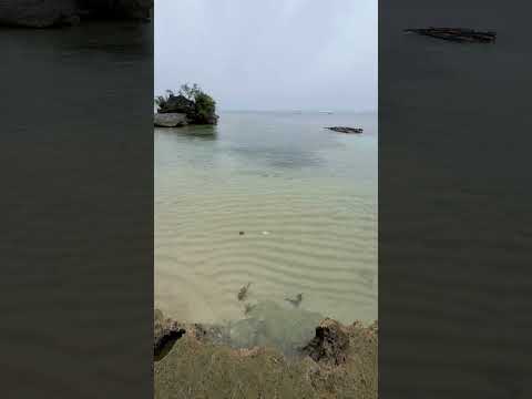 Consuelo #travel #nature #season #beach #serinity