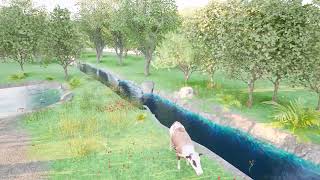 Nature Walkthrough | Twinmotion Environment Visualization