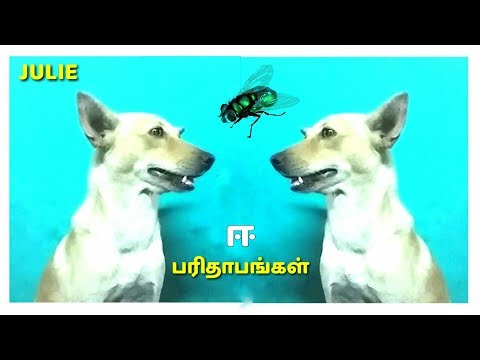 Ee paridhabangal...| Julie | Keyanstudios
