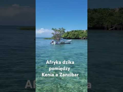 Wasini - wyspa pomiędzy Kenia a Zaznibar #podróże #popodrozy #zwiedzanie #kenia #zanzibar #afryka