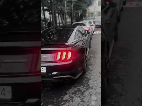 Mustang 🖤! #mustang #indianinkorea #indiakorea  #mustangcoldstart #mustanglovers #mustangmafia