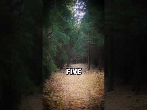 My mother and the fox #shorts #story #stories  #storywa #movie #film #short