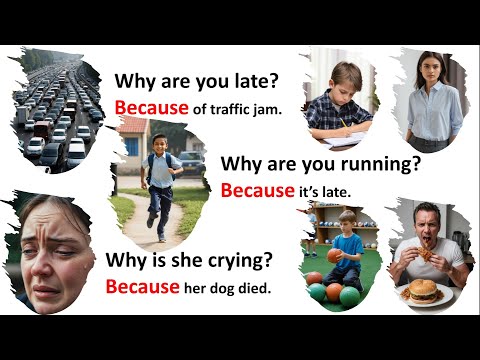 Daily Use Questions and Answers in English| Q&A Using "Because" in Daily Life!